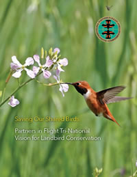 PIF English Report Cover